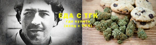 гидра Богородицк