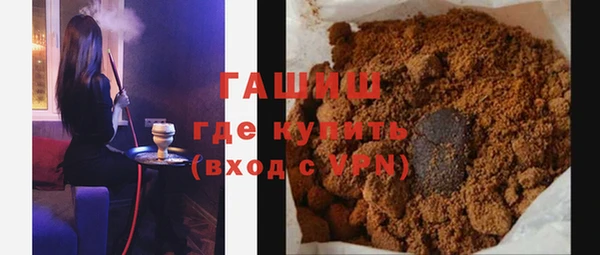 гидра Богородицк