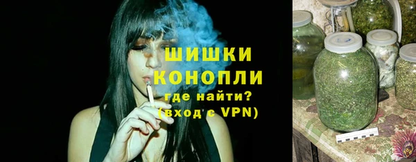 гидра Богородицк