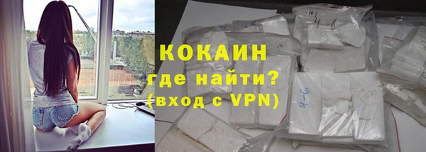 гидра Богородицк