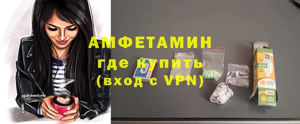гидра Богородицк