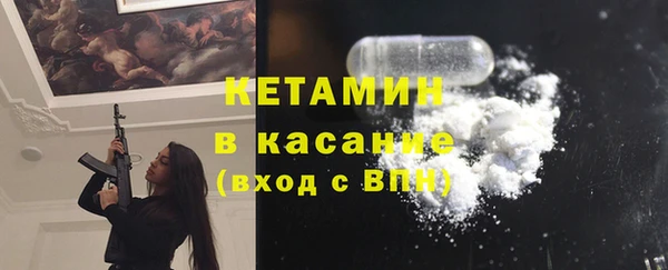 гидра Богородицк