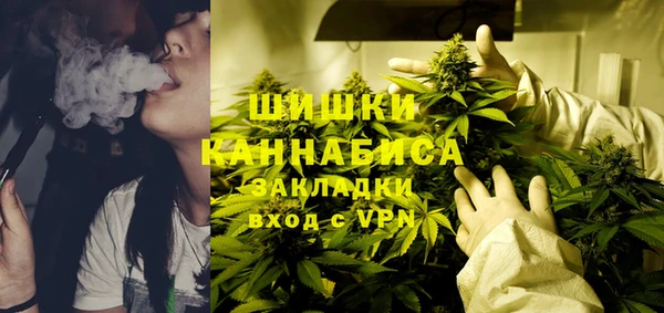 гидра Богородицк