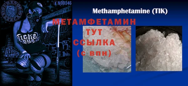 гидра Богородицк