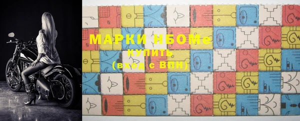 гидра Богородицк