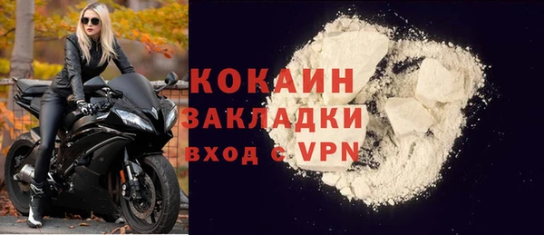 гидра Богородицк